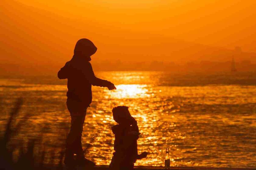 个体养老保险新政策，个体工商户缴纳养老保险政策