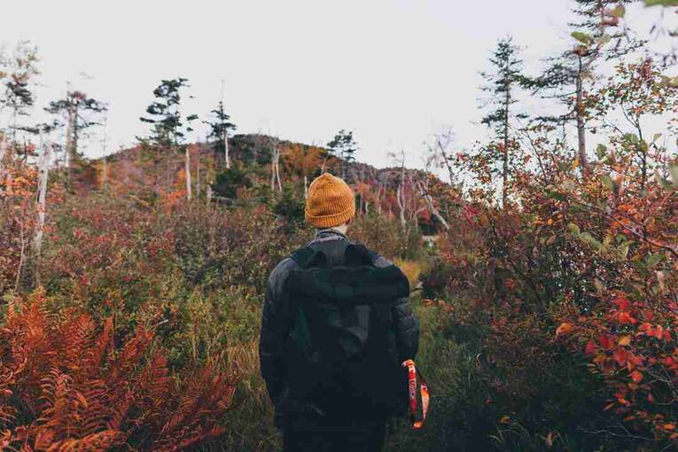 中年秋装新款女装外套女装 2022年秋款女外套中老年