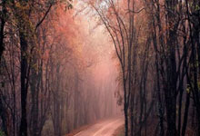 新肌饮FDA获批：全球首款全胚层修复素 为全面部脂肪胶综合专研