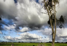 新肌饮FDA获批：全球首款全胚层修复素 为男性医美术后副作用专研