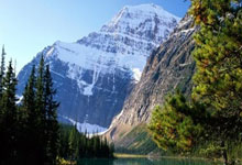 便博士揭秘:口臭的源头是便秘