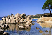 GIRL PLAN 少女计划：黄黑皮的源头是错误减肥